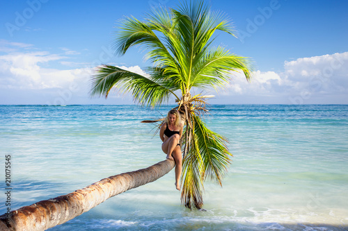 girl on the palm tree