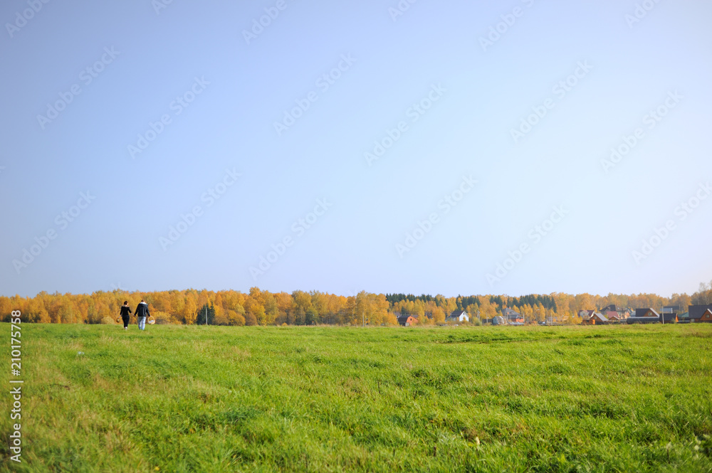 Fototapeta premium A young couple girl and a guy are walking along a field of green grass. In their hands baskets for mushrooms. On the horizon, trees with yellow foliage and village houses. Blue sky, autumn day.