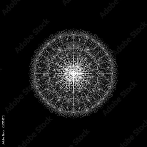 Fototapeta Naklejka Na Ścianę i Meble -  drawing of dandelion on black background