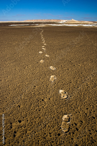 Картината върху платно looking back, alone in the desert