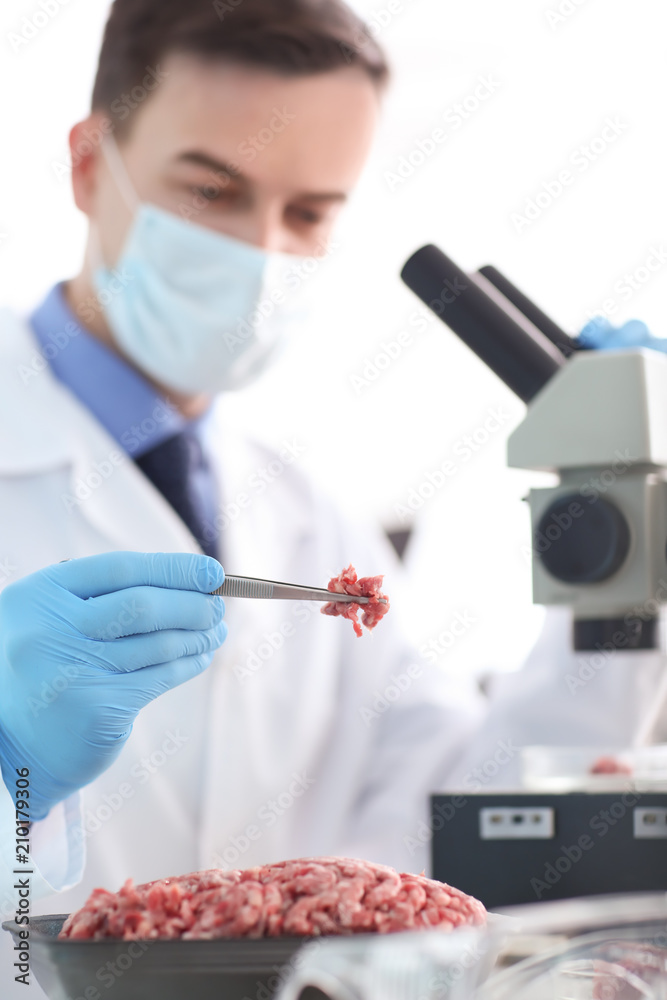 Scientist examining forcemeat in laboratory Scientist examining forcemeat in laboratory