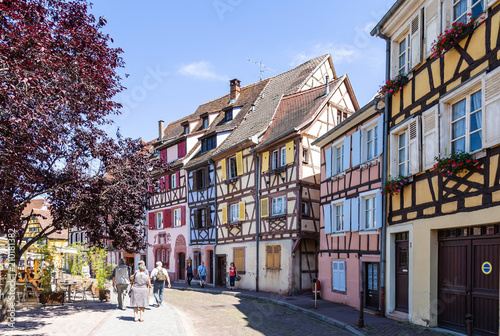 Colmar old town, Spring time, Trees