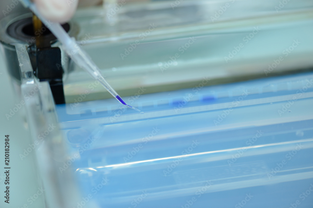 Pipette dripping liquid into dish Pipette dripping liquid into dish