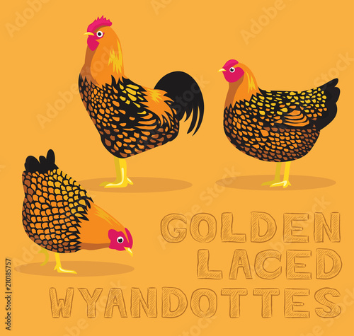 Chicken Golden Laced Wyandottes Cartoon Vector Illustration