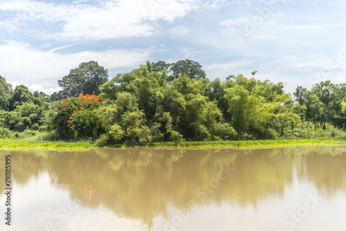 Landscape in lake. Nature background