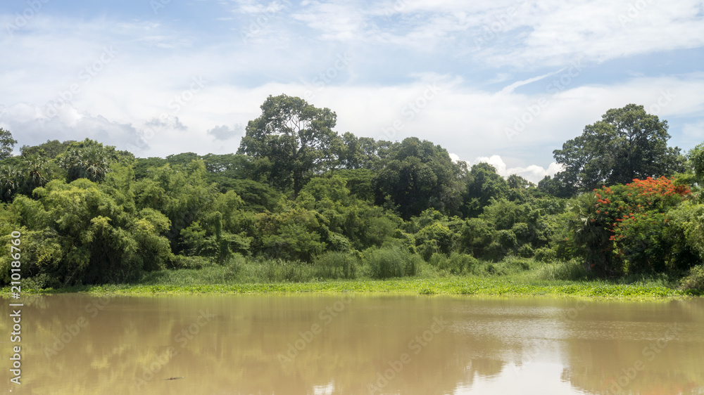Fototapeta premium Landscape in lake. Nature background