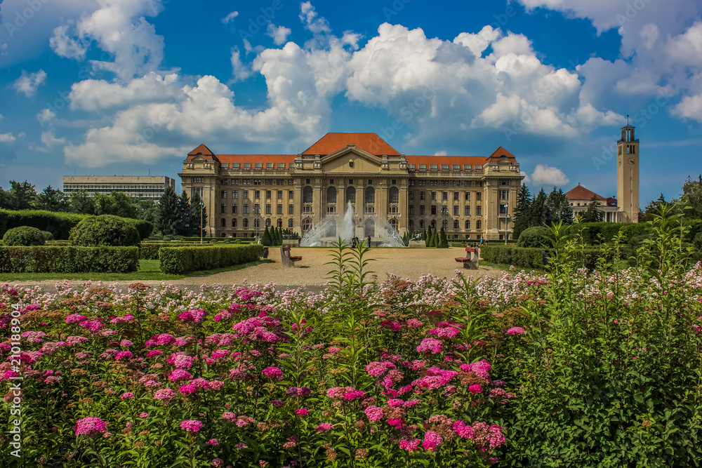 Bright colorful summer outdoor park with fontain and flowers and old beautiful palace facade on background