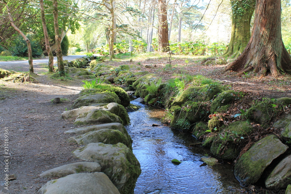 Jardin d'Irlande