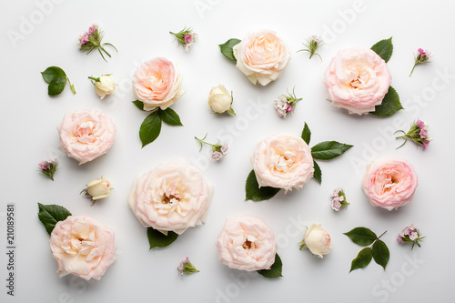 Floral pattern made of pink roses and green leaves on white background. Flat lay, top view. photo