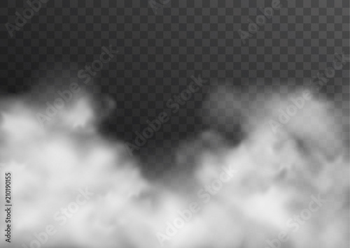 Stampa su tela Vector realistic smoke, fog or mist transparent effect isolated on dark backgrou