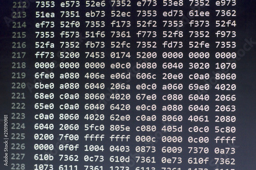 Binary file data in hexadecimal numbers. Computer programming abstract screen. Digital technology modern background.