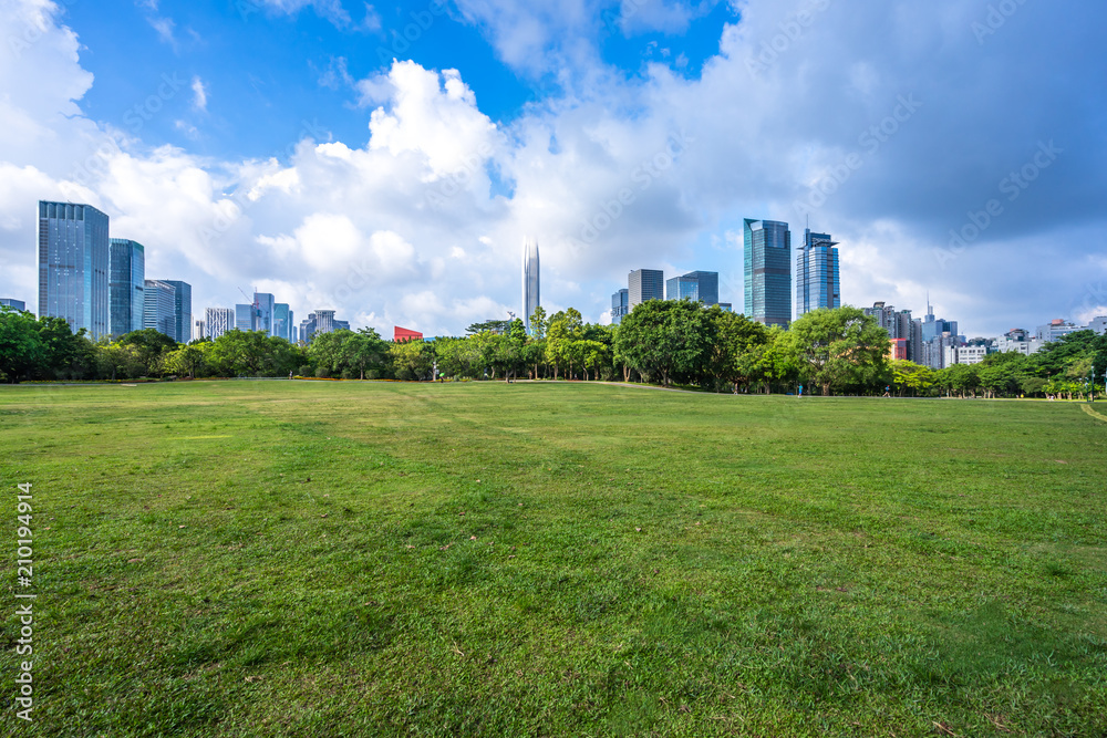 green lawn with city skyline