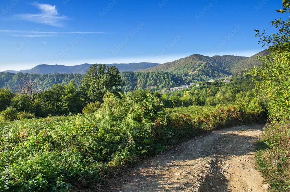 Road in the mountains