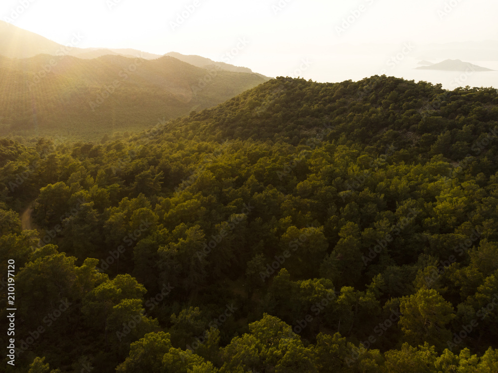 Aerial over a mountain forest at sunrise, Fethiye, Turkey