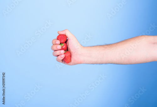 Producing fresh strawberry juice. Squeezing fresh strawberry juice. Hand holds red sweet ripe berries blue background. Fresh juice concept. Strawberries fresh gathered harvest in male fist close up