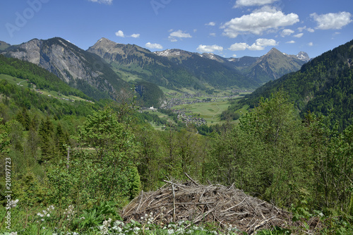 Bregenzerwald; Au; Vorarlberg; Oesterreich photo