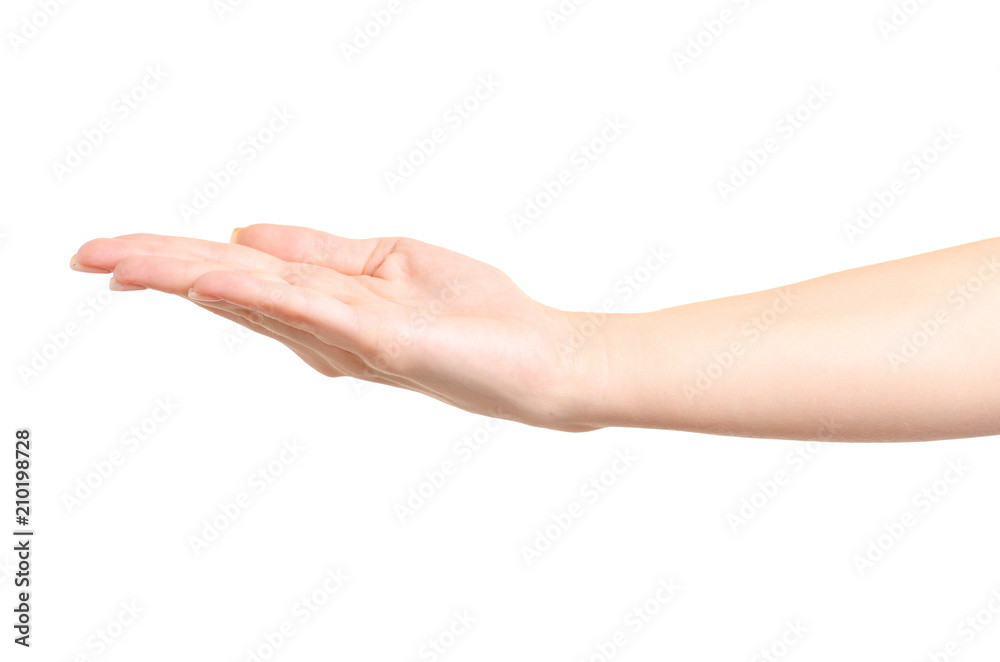Female hand empty showing on white background isolation