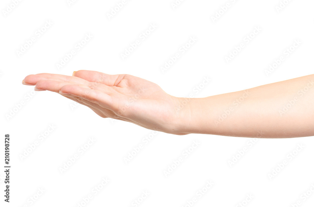 Female hand empty showing on white background isolation Female hand empty showing on white background isolation