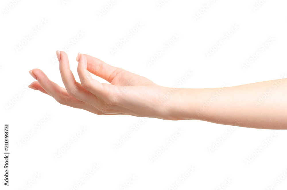 Female hands beauty on white background isolation