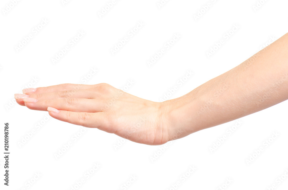 Female hand empty show low level on white background isolation Female hand empty show low level on white background isolation