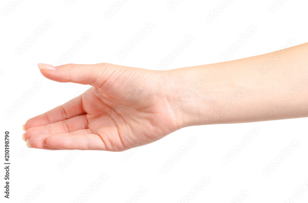 Female hands empty holding on a white background isolated Female hands empty holding on a white background isolated