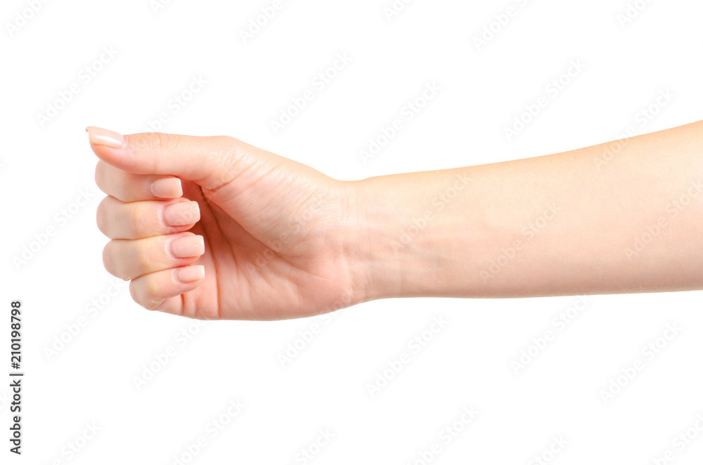 Female hands empty holding on a white background isolated Female hands empty holding on a white background isolated
