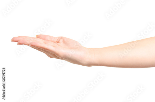 Female hand empty showing on white background isolation © Kabardins photo