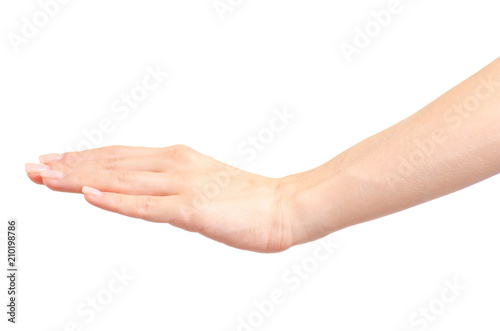 Female hand empty show low level on white background isolation