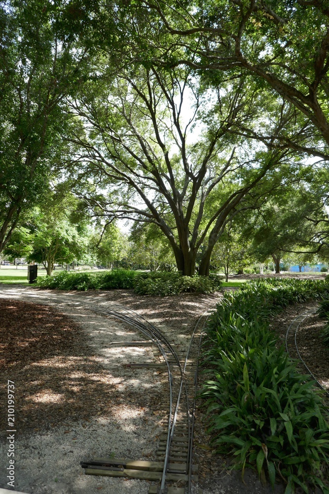Miniature railroad tracks branching around oak tree Miniature railroad tracks branching around oak tree