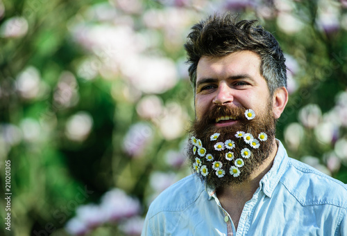 Freshness concept. Hipster on smiling face, nature background, defocused. Man with beard and mustache enjoy spring, green trees background. Guy with daisy or chamomile flowers in beard.