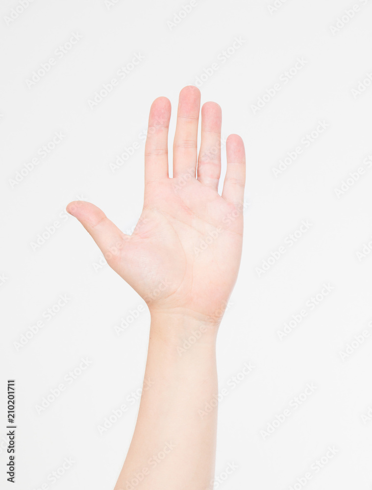hand isolated on white.Voting hand. Mock up. Copy space. Template. Blank. hand isolated on white.Voting hand. Mock up. Copy space. Template. Blank.