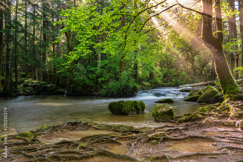French landscape - Jura. Small river in the Jura mountains with sunbeams shining through tree.