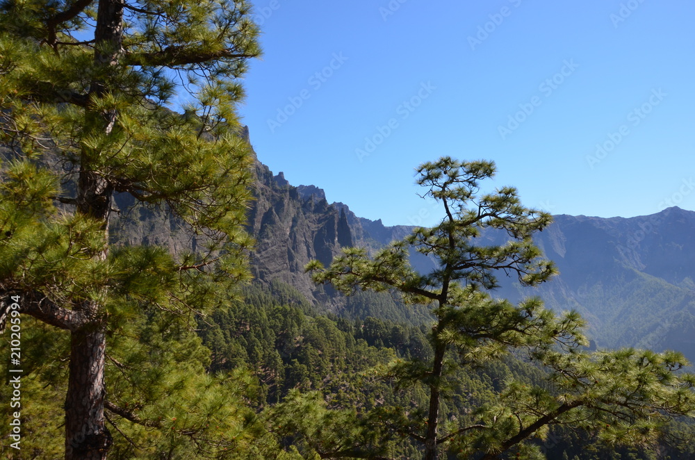 Paisajes de la isla de La Palma