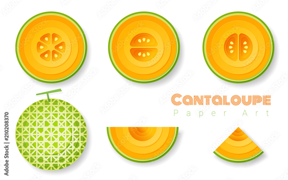 Set of cantaloupe melons in paper art style , vector , illustration Set of cantaloupe melons in paper art style , vector , illustration