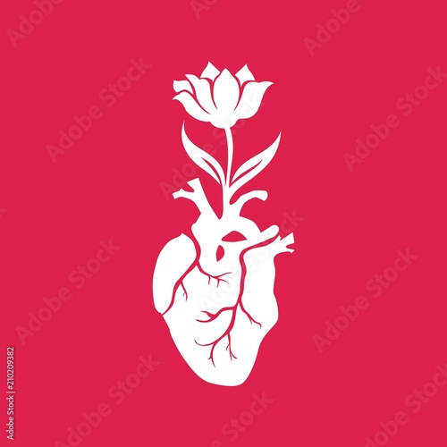 Сердце и цветок