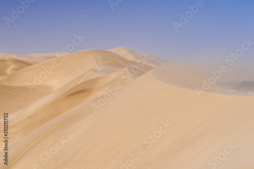 Dunes on the Skeleton Coast   Sandstorm on the Skeleton Coast  dunes to the Atlantic Ocean  Namib Desert  Namibia  Africa.