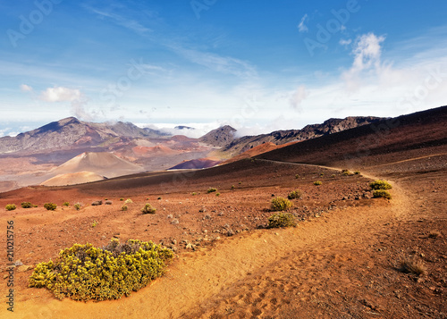 Wide volcanic landscape with lava fields in different colors, wide view, ocher shades, reds, trail, plants in the foreground, blue sky - Location: Hawaii, Island Maui, volcano 