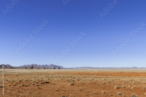Landscape in the Namib Desert / Landscape in the Namib Desert, Namibia, Africa.