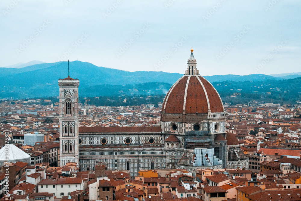 florence view