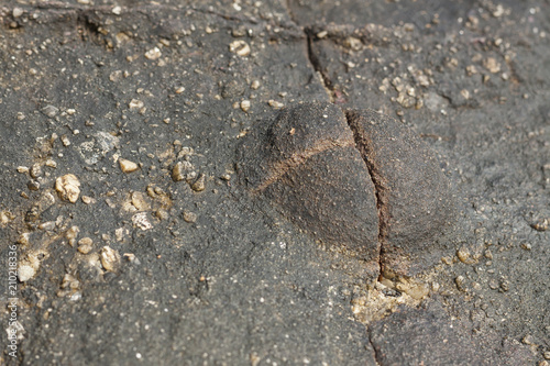 Unique stone texture close up view © tottoto