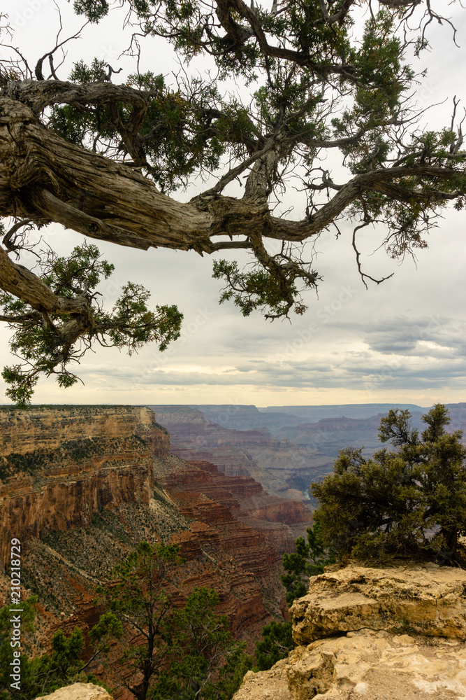The view over Grand Canyon South Rim on a cloudy day