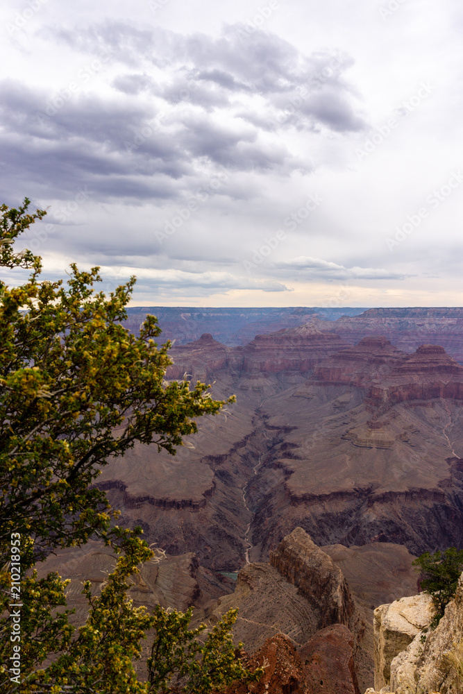 The view over Grand Canyon South Rim on a cloudy day