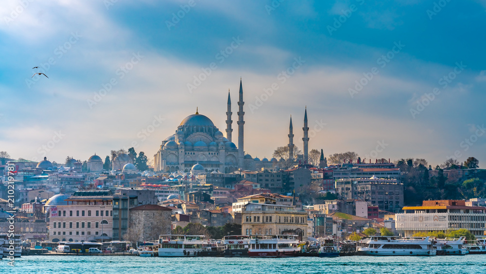 Blue Mosque, Building And Sea View