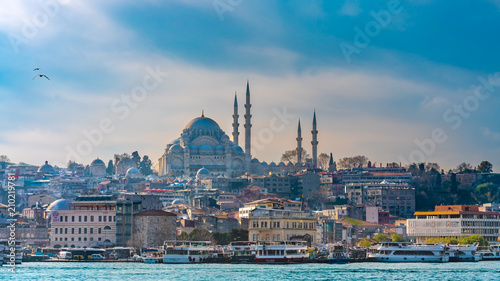 Blue Mosque, Building And Sea View