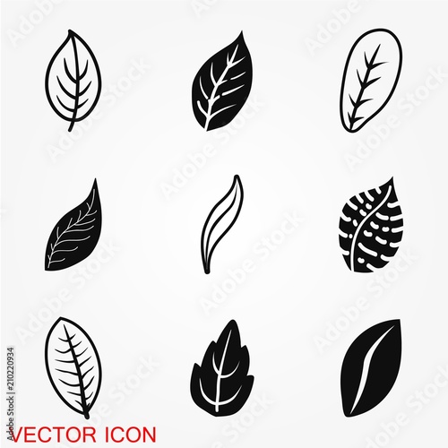 Fototapeta Naklejka Na Ścianę i Meble -  Leaf icon vector, isolated on background, various green leaves of trees and plants