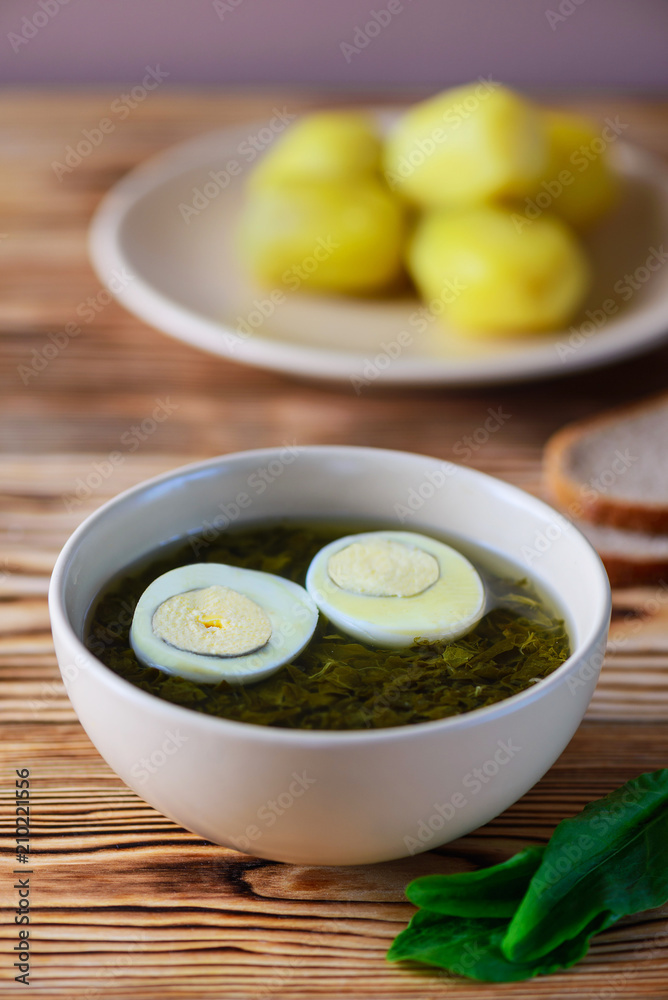 Fresh cold vegetable sorrel soup. Holodnik. Traditional russian food Fresh cold vegetable sorrel soup. Holodnik. Traditional russian food