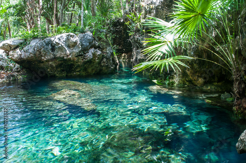 cenote