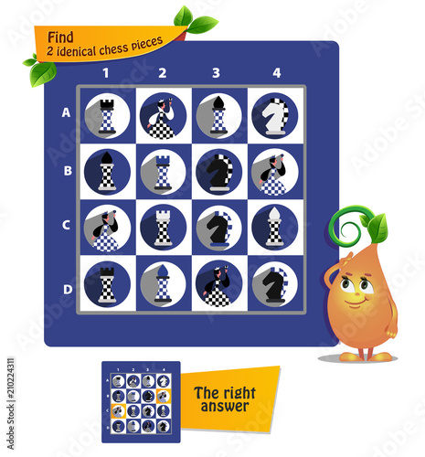 find 2 idenical chess