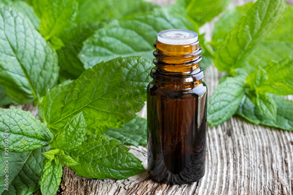 A bottle of peppermint essential oil with fresh peppermint leaves A bottle of peppermint essential oil with fresh peppermint leaves