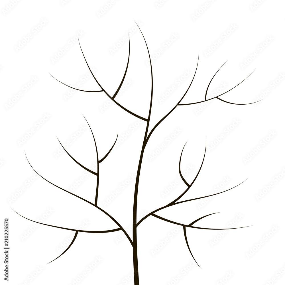 Fototapeta premium a contour of thin branches and a trunk of a simple black forest tree object isolated on a white background